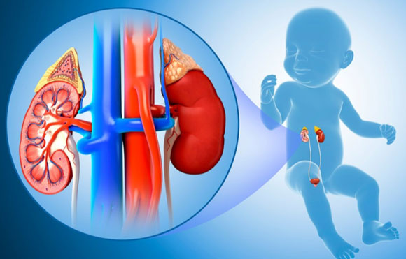 Paediatric Urology